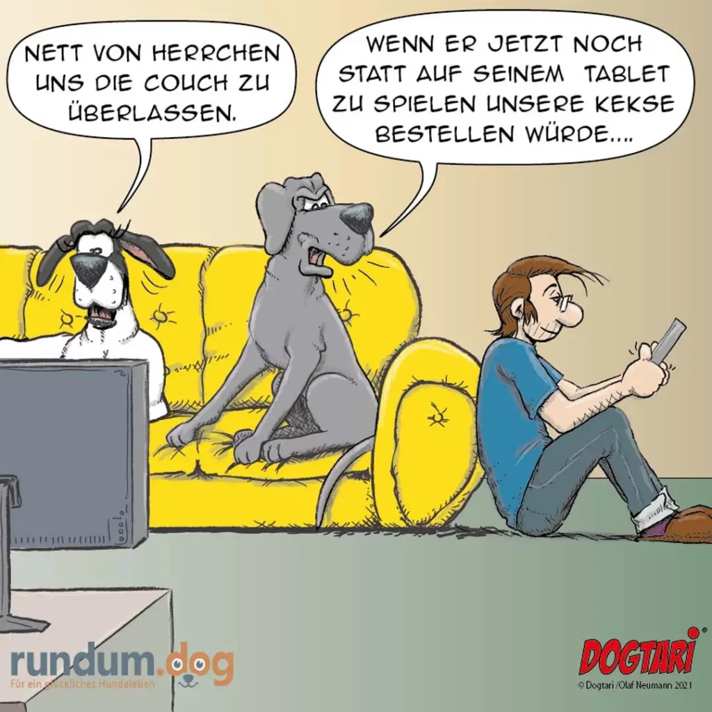 Zwei Hunde sitzen auf gelber Couch, der eine schaut auf einen Laptop, der andere auf ein Tablet. Ein Mann sitzt daneben und hält ein Smartphone.