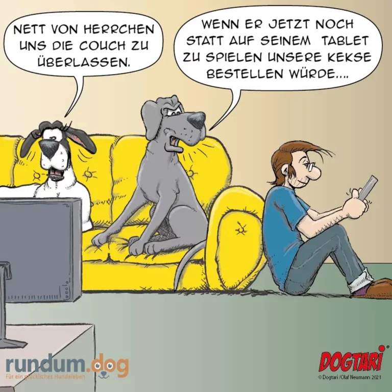 Zwei Hunde sitzen auf gelber Couch, der eine schaut auf einen Laptop, der andere auf ein Tablet. Ein Mann sitzt daneben und hält ein Smartphone.