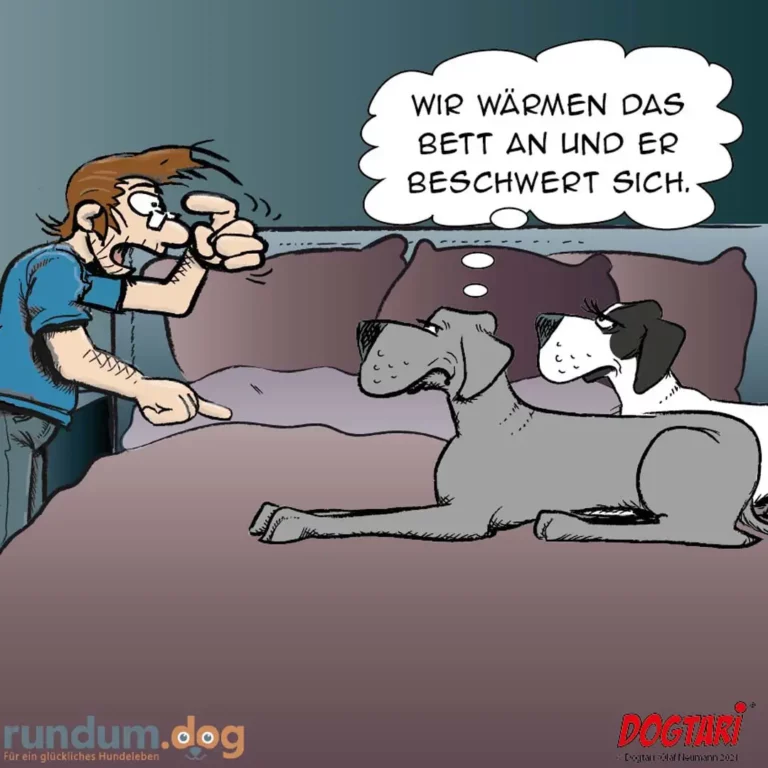 Halter wärmt sich das Bett mit zwei Hunden auf, sagt zu ihnen: Wir wärmen das Bett an und er beschwert sich.