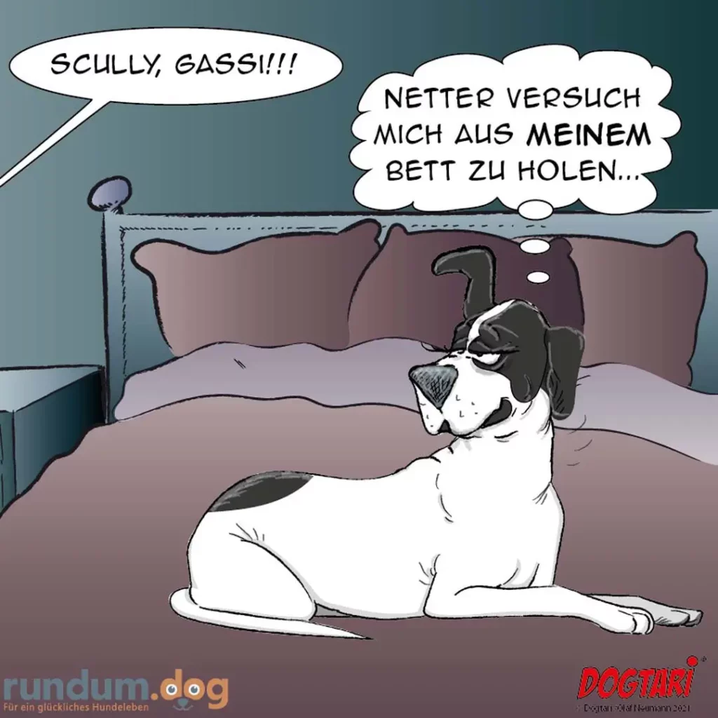 Hund sitzt auf Bett neben Halter, der von oben ruft 'Scully, gass!!!', Hund antwortet 'Netter Versuch mich aus meinem Bett zu holen...'