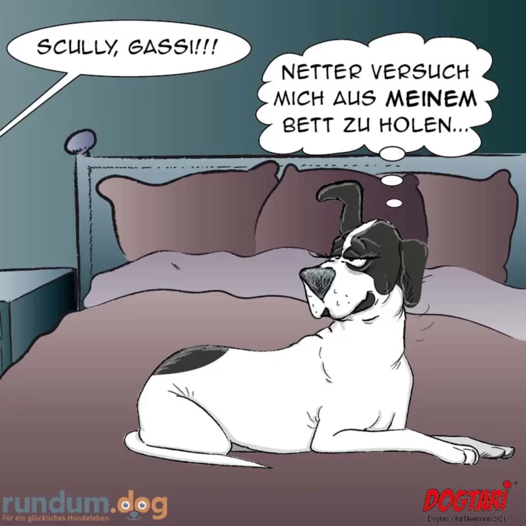 Hund sitzt auf Bett neben Halter, der von oben ruft 'Scully, gass!!!', Hund antwortet 'Netter Versuch mich aus meinem Bett zu holen...'