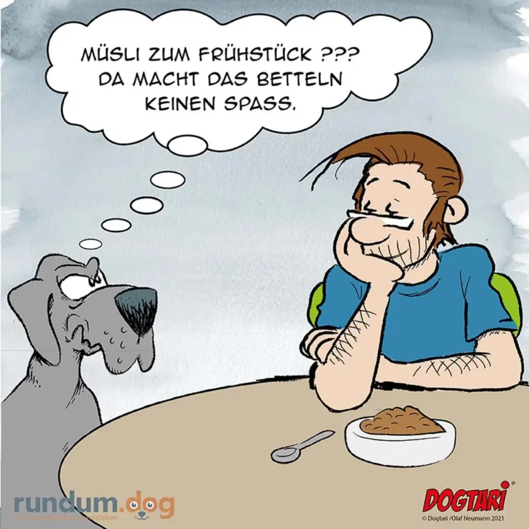 Hund sitzt dem Halter gegenüber und denkt 'Muesli zum Fruehstueck? Da macht das Betteln keinen Spass.' Halter sitzt mit Loefel vor einer Schuessel Muesli.