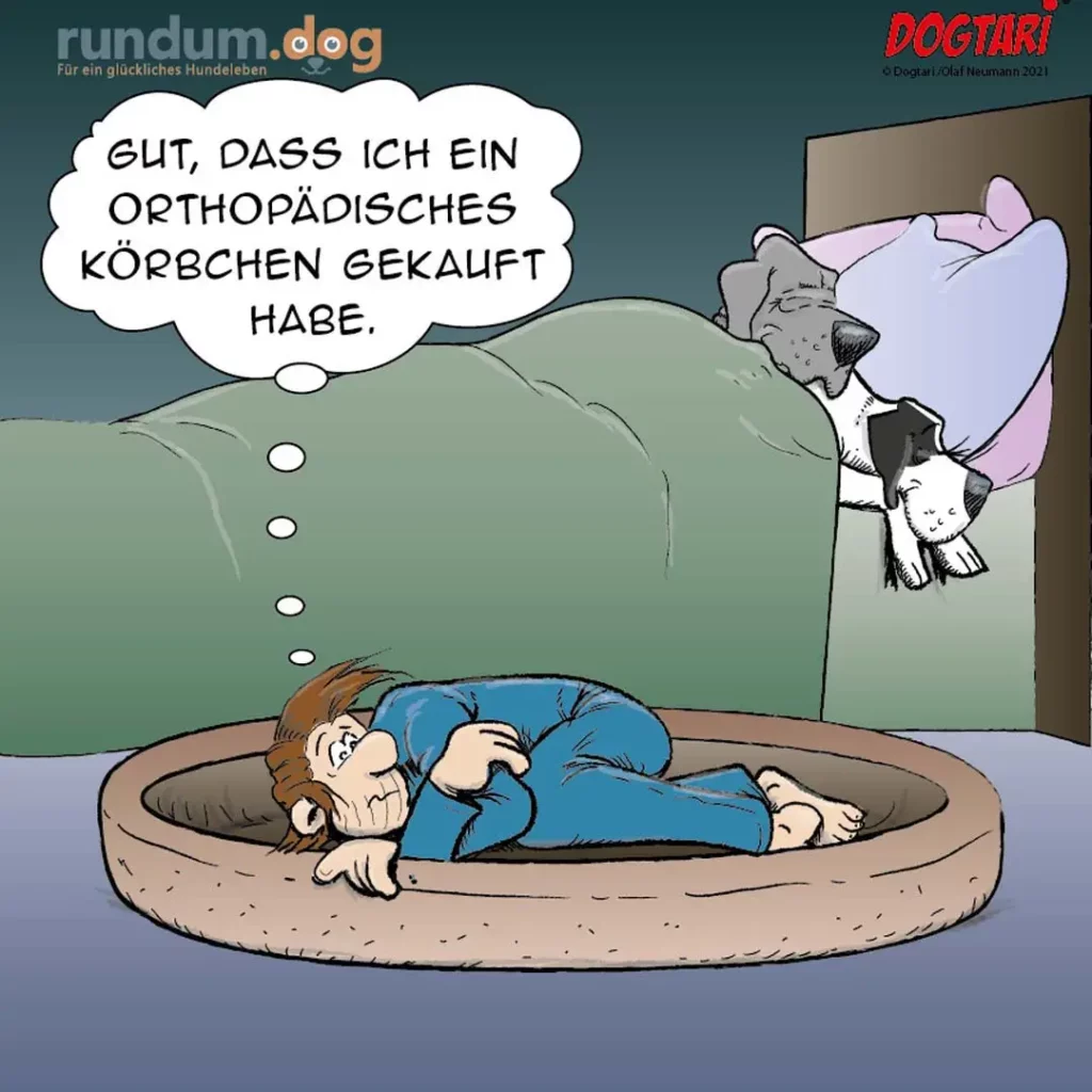 Mann liegt in grossem Hundebett, Hund sitzt auf Sofa mit Kissen. Mann sagt: Gut, dass ich ein orthopädisches Körperchen gekauft habe.