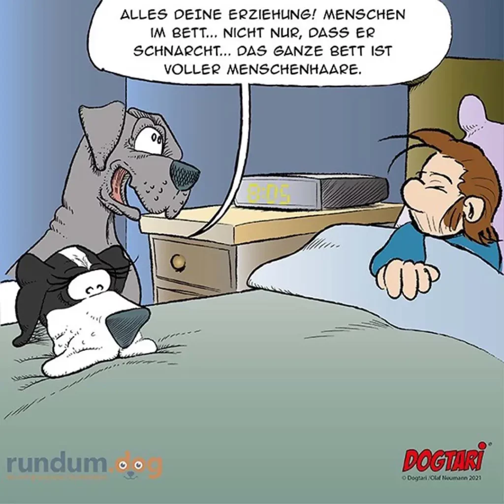 Hund sitzt auf Bett neben Frau im Schlafanzug und leckt sich die Schnauze, spricht von Menschenhaaren im Bett