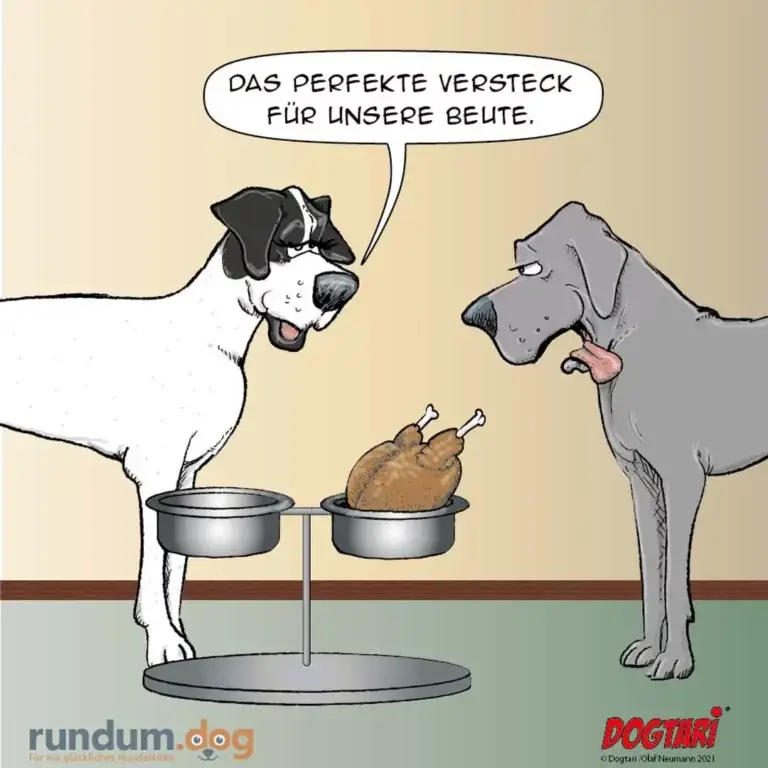 Zwei Hunde an Futternäpfen: schwarz-weisser Hund sagt stolz 'Das perfekte Versteck für unsere Beute', grauer Hund schaut skeptisch