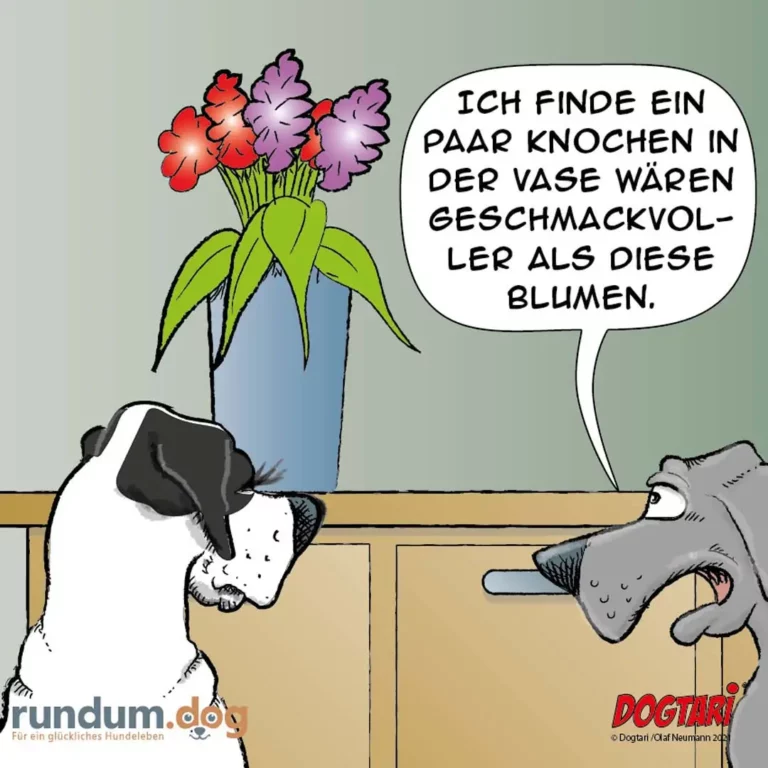 Schwarz-weisser Hund schaut auf Blumenvase, grauer Hund hält Knochen in der Pfote und spricht