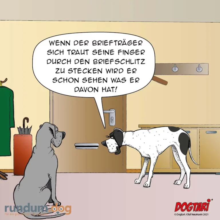 Hund steckt seine Schnauze in einen Briefschlitz, eine Katze sitzt daneben und erklärt die Konsequenzen