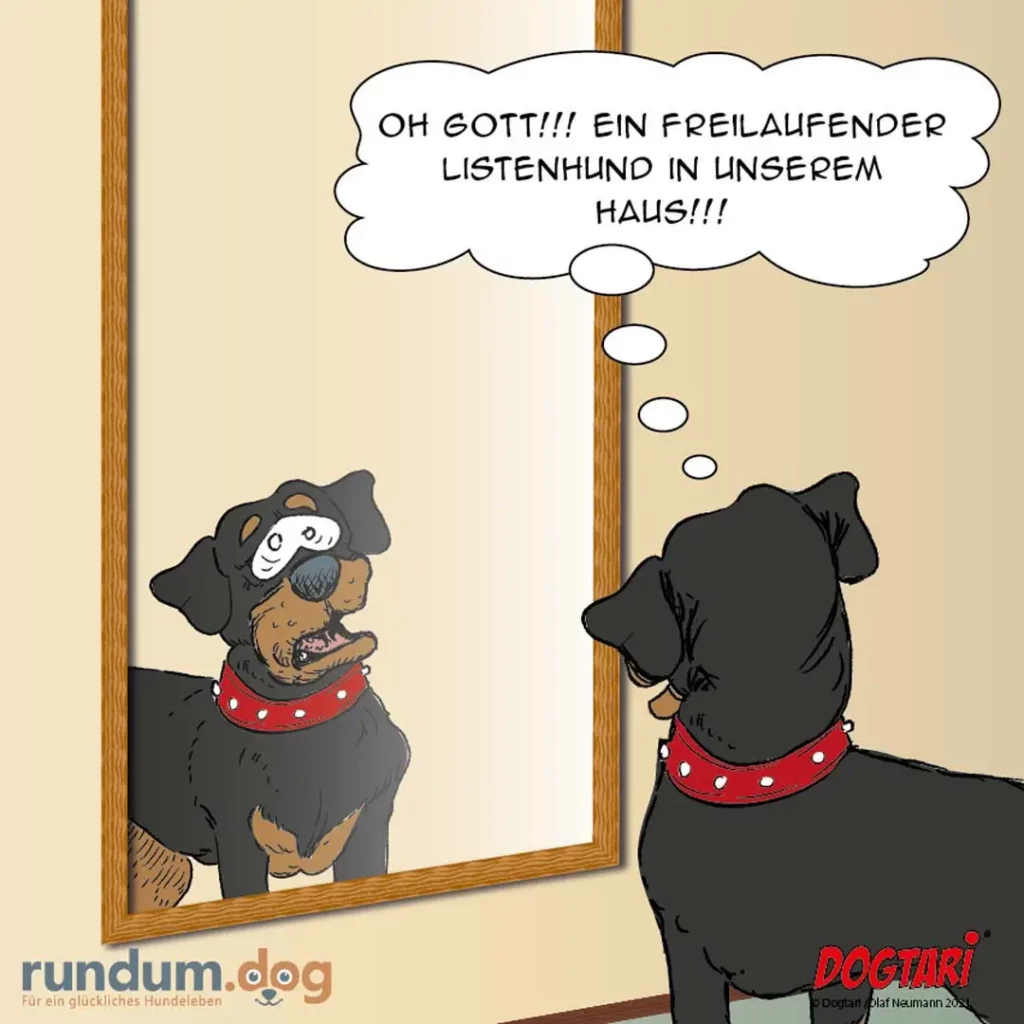 Hund schaut in Spiegel und sieht sich selbst als perfekt hörigen Hund mit Trainerkette, denkt begeistert davon