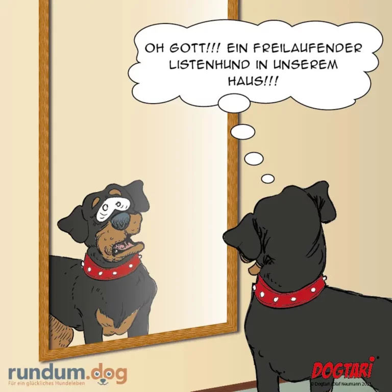 Hund schaut in Spiegel und sieht sich selbst als perfekt hörigen Hund mit Trainerkette, denkt begeistert davon