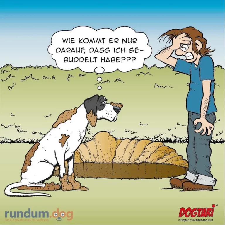 Hund sitzt in Schlammloch, Halter steht daneben und fragt verzweifelt, wie der Hund nur dahin gekommen ist