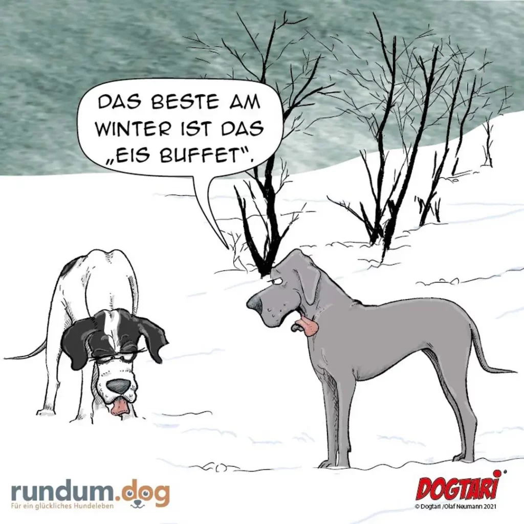 Zwei Hunde im Schnee: einer beugt sich tief herab und leckt Eis, der andere steht aufrecht daneben und spricht in eine Sprechblase
