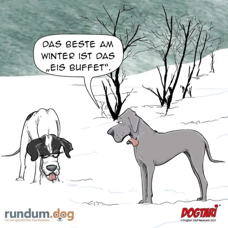 Zwei Hunde im Schnee: einer beugt sich tief herab und leckt Eis, der andere steht aufrecht daneben und spricht in eine Sprechblase