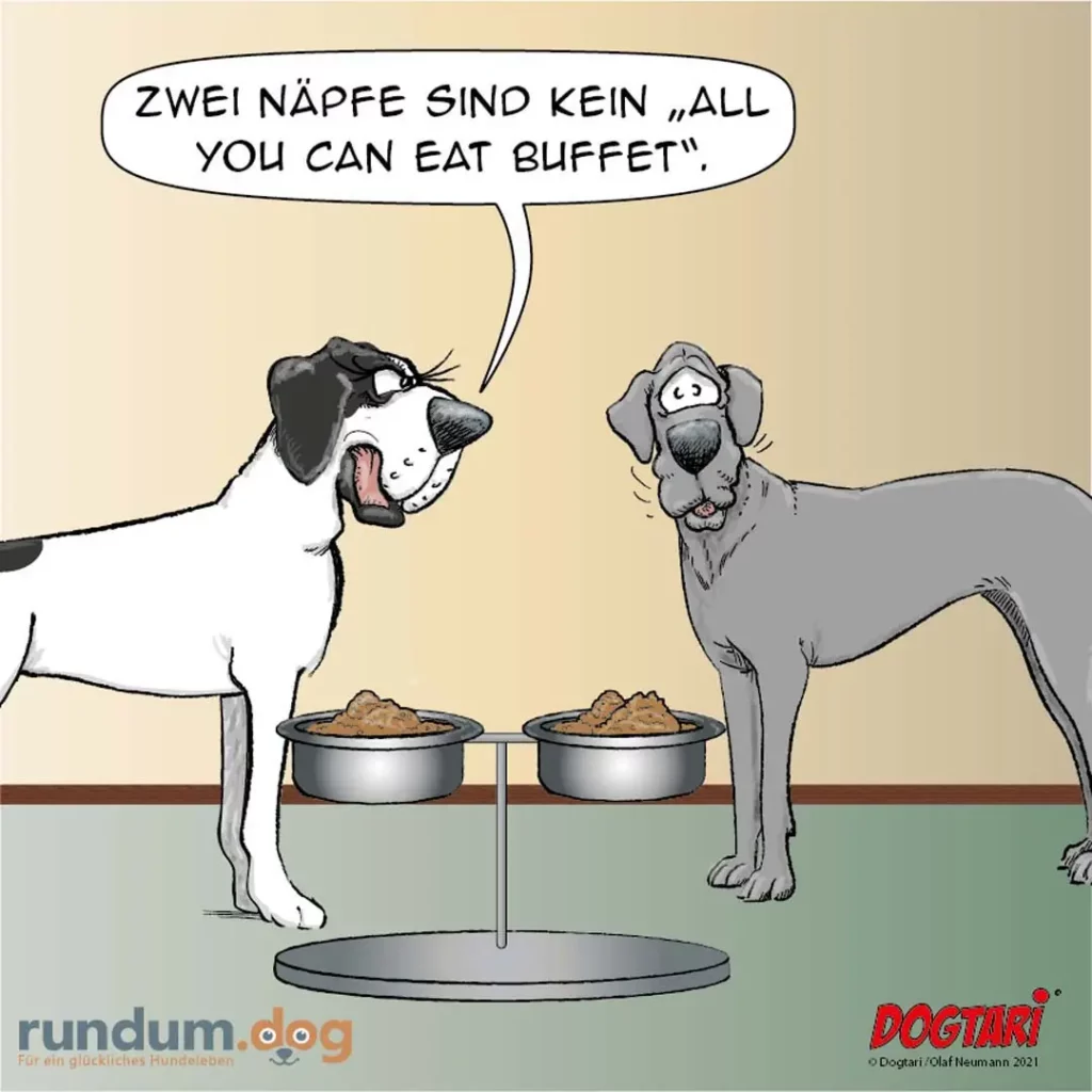 Zwei Hunde vor je einem Futternapf: weisser Hund schaut lachend auf grauen Hund, spricht von 'All you can eat Buffet'