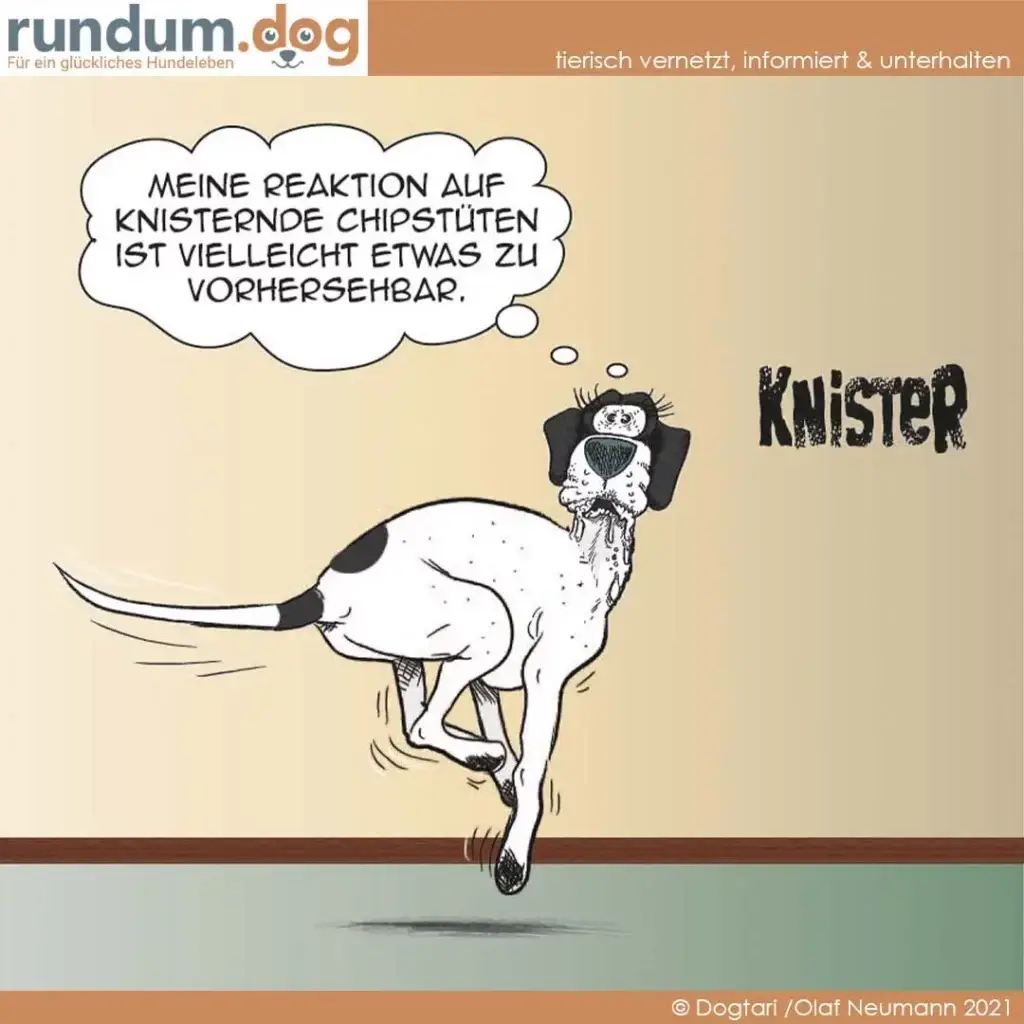 Hund springt hoch und schüttelt sich, Speichel fliegt, Sprechblase: «Meine Reaktion auf knisternde Chipstüten ist vielleicht etwas zu vorhersehbar»
