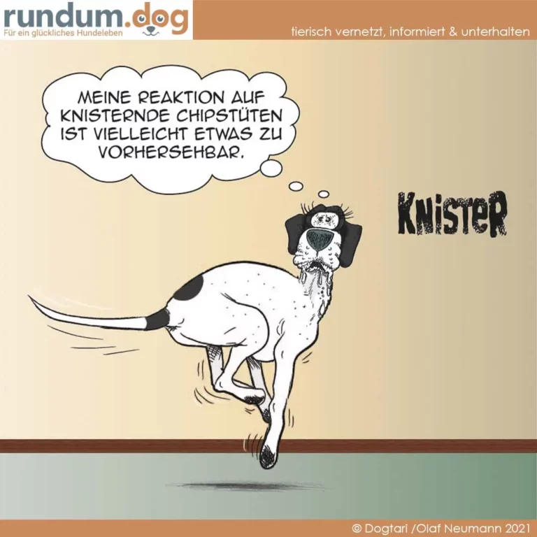 Hund springt hoch und schüttelt sich, Speichel fliegt, Sprechblase: «Meine Reaktion auf knisternde Chipstüten ist vielleicht etwas zu vorhersehbar»