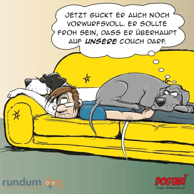 Mann liegt erschöpft auf gelber Couch, großer grauer Hund liegt auf ihm, Gedankenblase mit Text über Vorwürfe des Hundes