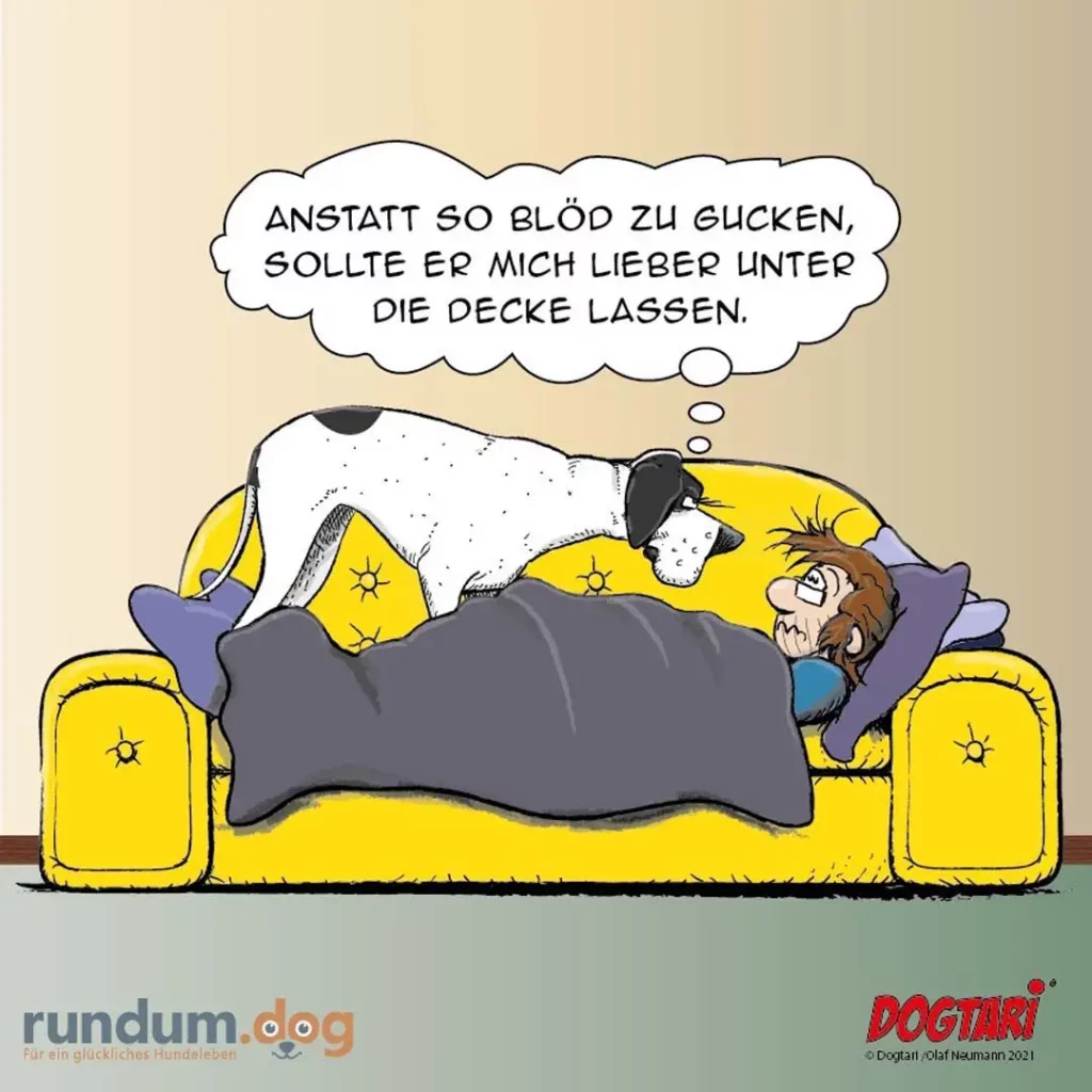 Hund liegt auf gelbem Sofa über einem Menschen, der unter einer Decke verborgen ist und denkt, lieber unter der Decke zu bleiben