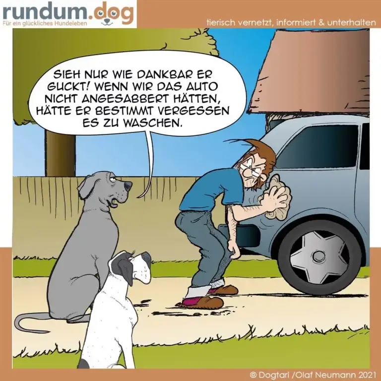 Grauer Hund sitzt neben weissem Hund vor Auto, Halter lehnt an Autotür und gestikuliert, Sprechblase mit Text über Autowäsche