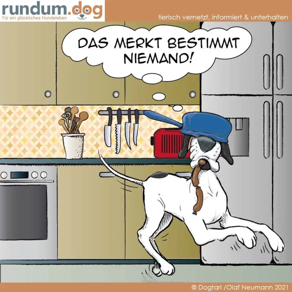 Hund mit blauem Hut steht in der Küche, hält ein rotes Gerät, Messer hängen über ihm. Sprechblase: 'Das merkt bestimmt niemand!'