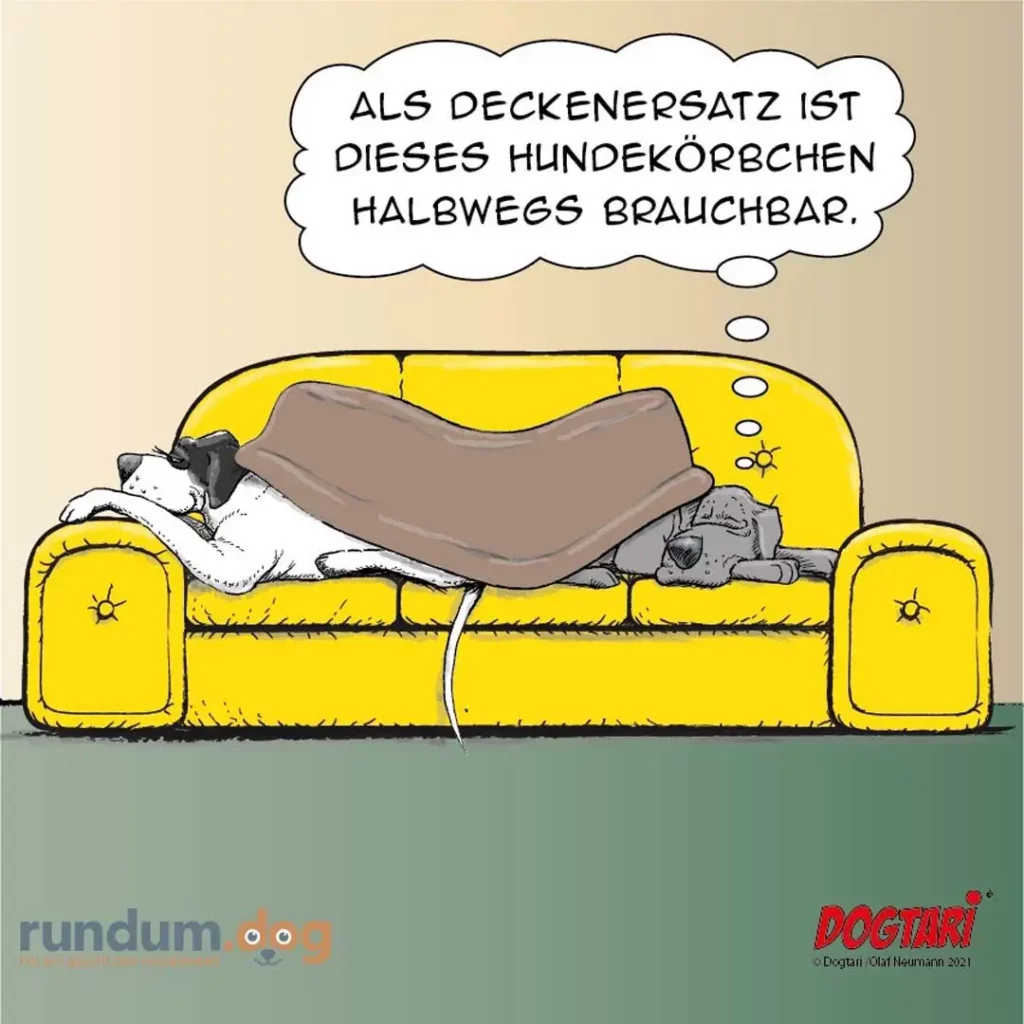Hund liegt mit ausgebreiteter brauner Decke auf gelbem Sofa und argumentiert gestikulierend