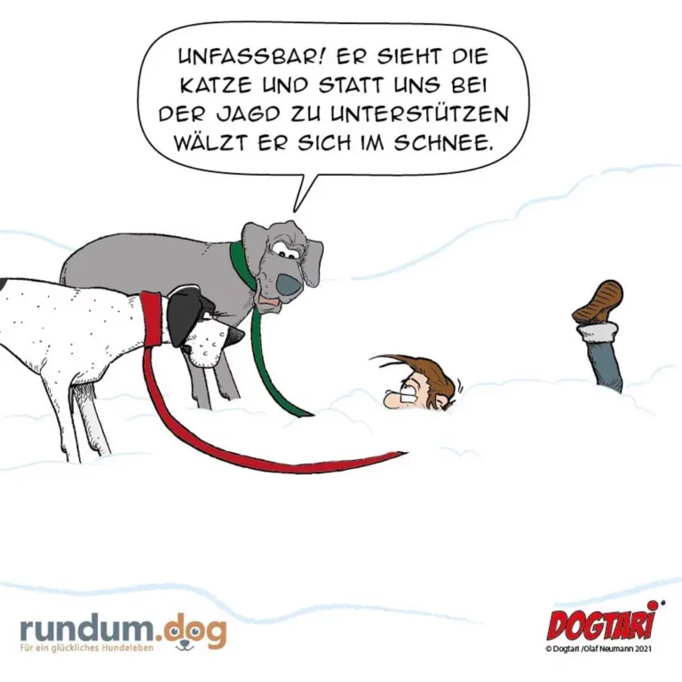 Hund im Schnee trägt zwei Katzen an Leinen, ein Mensch sitzt im Schnee, Hund spricht: Unfassbar, er sieht die Katze und statt uns bei der Jagd zu unterstützen, wälzt er sich im Schnee.