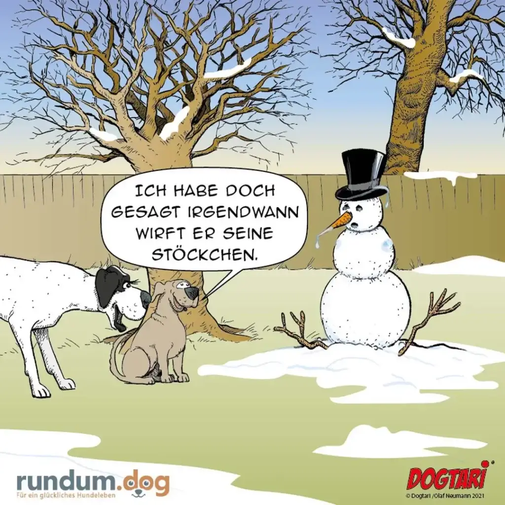 Zwei Hunde im Schnee schauen auf einen Schneemann mit Zylinder. Ein Hund sagt: «Ich habe doch gesagt, irgendwann wipft er seine Stöckchen.»