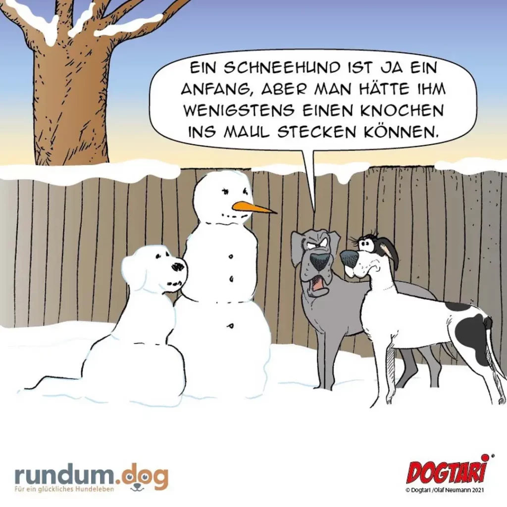 Weisser Hund sitzt neben Schneemann, zwei andere Hunde schauen vom Zaun herunter. Schneemann spricht in Sprechblase.