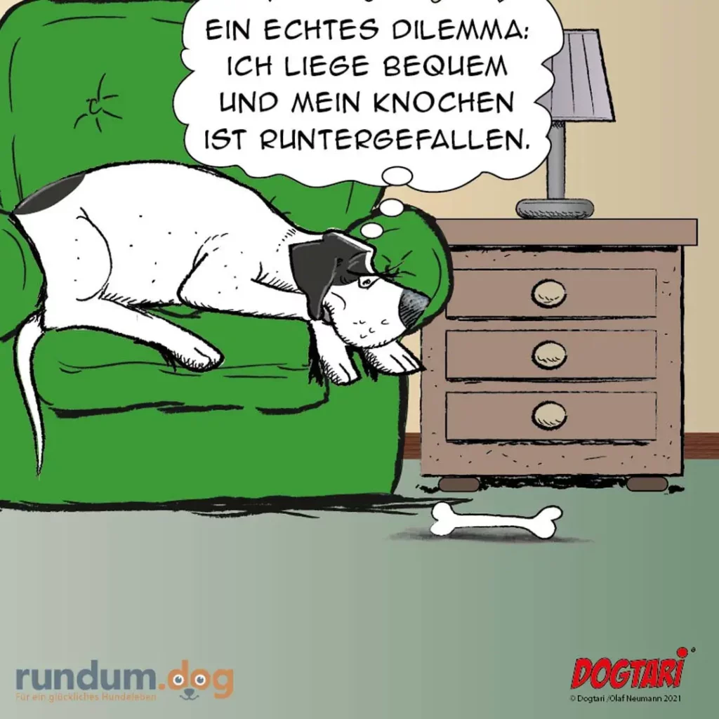 Weiss-schwarzer Hund liegt auf grünem Sofa und schaut auf einen Knochen am Boden, Sprechblase mit Dilemma-Text