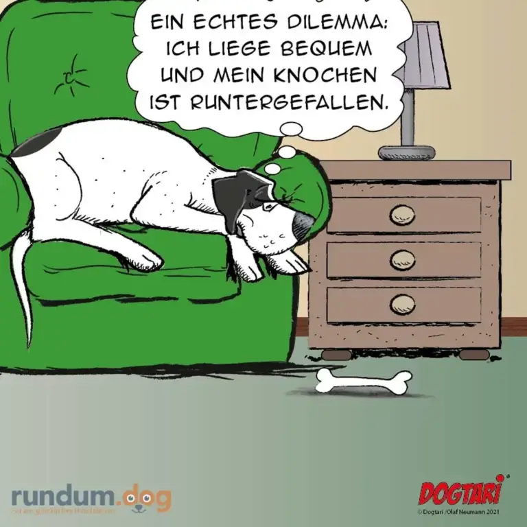 Weiss-schwarzer Hund liegt auf grünem Sofa und schaut auf einen Knochen am Boden, Sprechblase mit Dilemma-Text