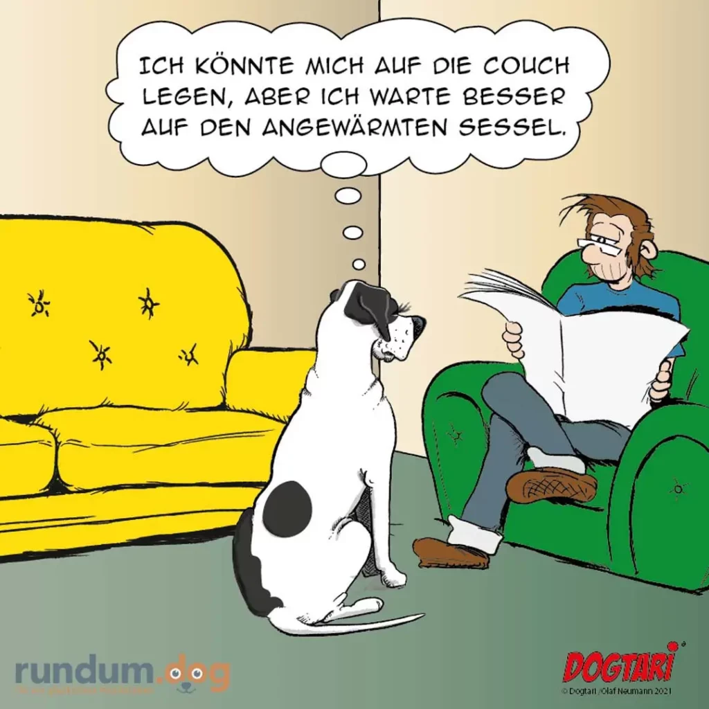 Weiss-schwarzer Hund sitzt vor gelber Couch und blickt auf Mann im grünen Sessel, der Zeitung liest