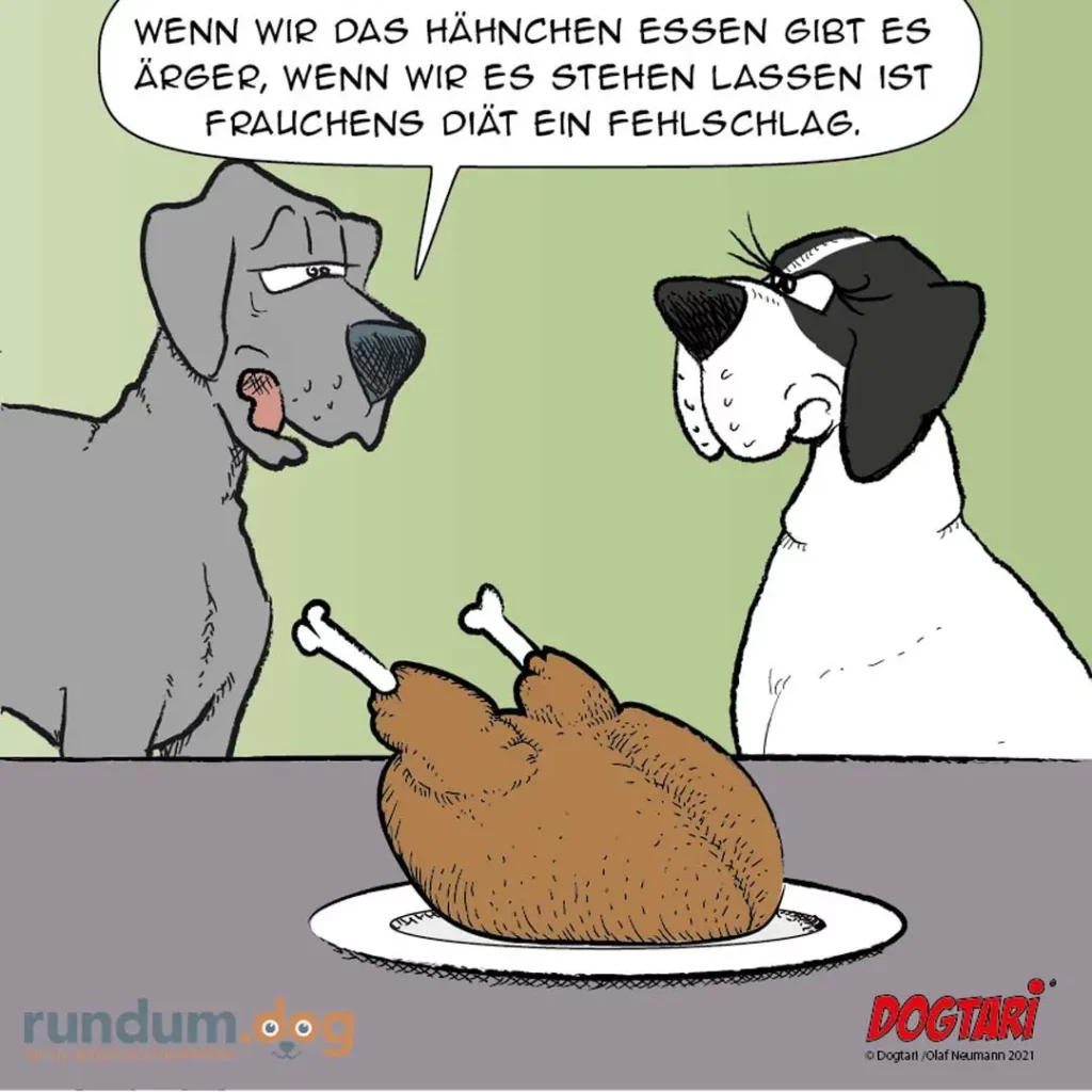Grauer Hund spricht zu weiss-schwarzem Hund vor einem Hähnchen mit Knochen auf dem Teller