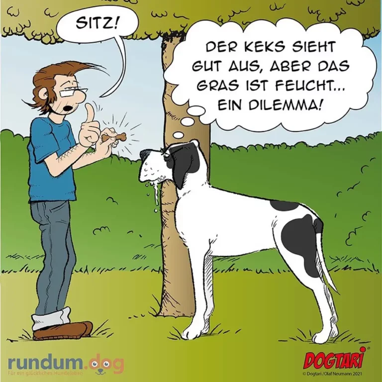 Halter gibt Hund Kommando 'Sitz', Hund sitzt am Baum und denkt: Der Keks sieht gut aus, aber das Gras ist feucht – ein Dilemma