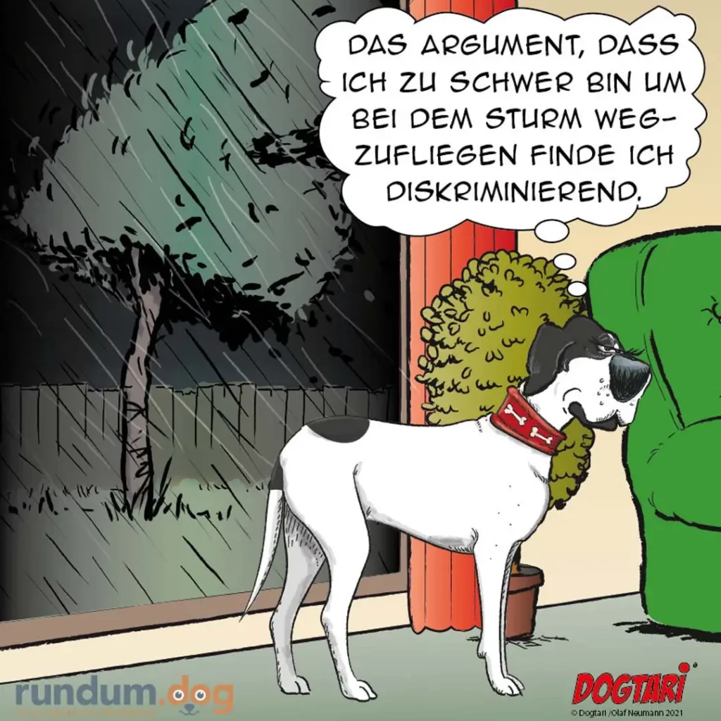 Weisser Hund mit rotem Halsband argumentiert gestikulierend zu einem grünen Busch, während es regnet und stürmt