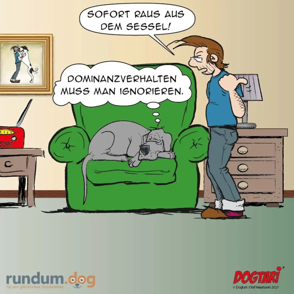 Hund liegt faul auf grünem Sessel, Halter steht daneben mit Trainingsplan und sagt "Sofort raus aus dem Sessel!" — Hund denkt "Dominanzverhalten muss man ignorieren"