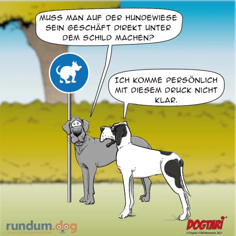 Grauer Hund hält Schild mit Hundesymbol, weisser Hund schaut verwirrt und sagt, er verstehe den Druck nicht