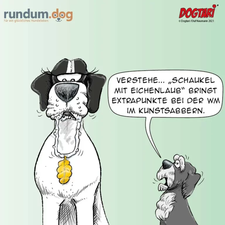 Schiedsrichter mit Pfeife und Notizbuch erklärt einem kleinen Hund ein Fussball-Regelwerk