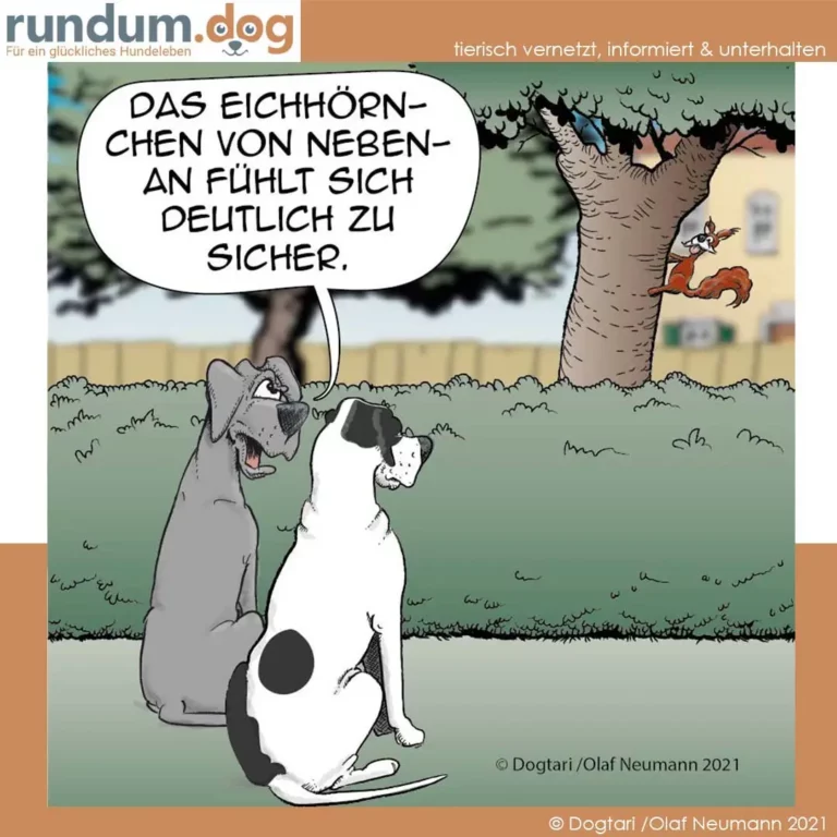 Grauer Hund erklärt weissem Hund unter einem Baum: Das Eichhörnchen von nebenan fühlt sich deutlich zu sicher