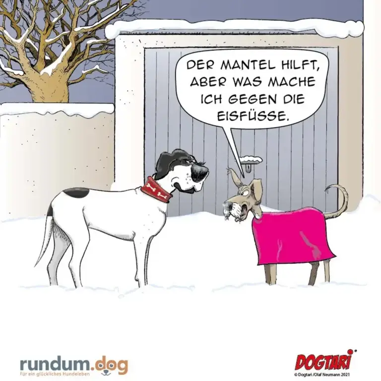 Hund im roten Halsband zu Maus in pinkem Mantel: 'Der Mantel hilft, aber was mache ich gegen die Eisfüsse.'