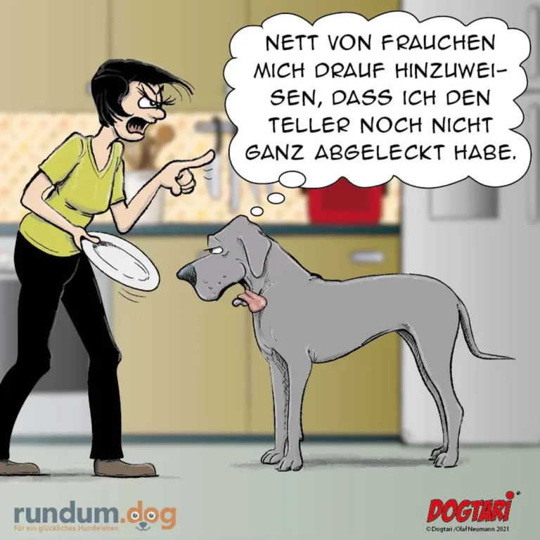 Frau in gelbem Shirt hält leeren Teller und gestikuliert frustriert vor Hund, der den Kopf senkt