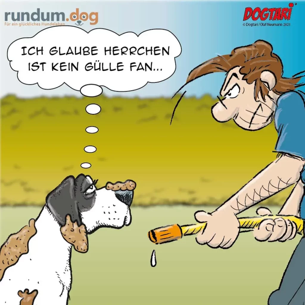 Hund mit Leine schaut Halter an und denkt: «Ich glaube Herrchen ist kein Gülle Fan...»