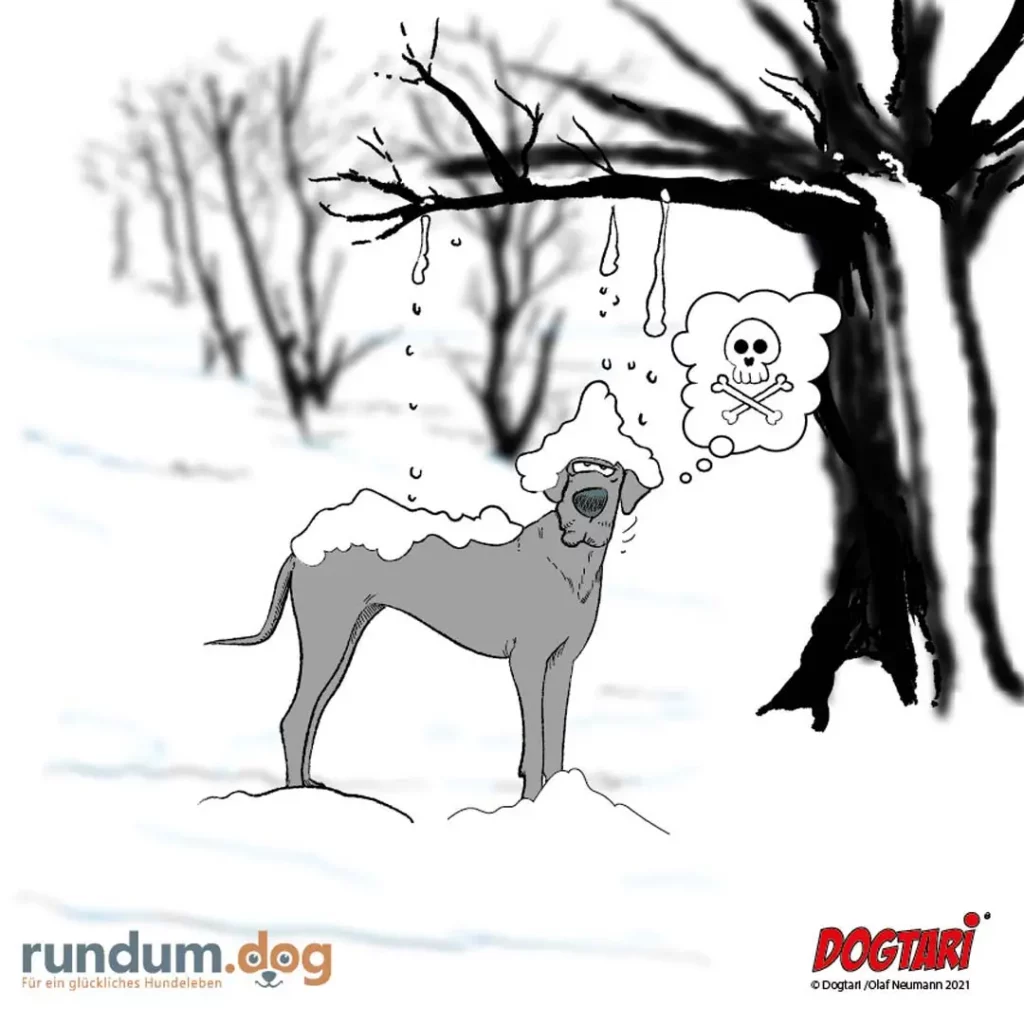 Hund im Schnee unter kahlem Baum mit Eiszapfen, denkt an Totenkopf-Symbol