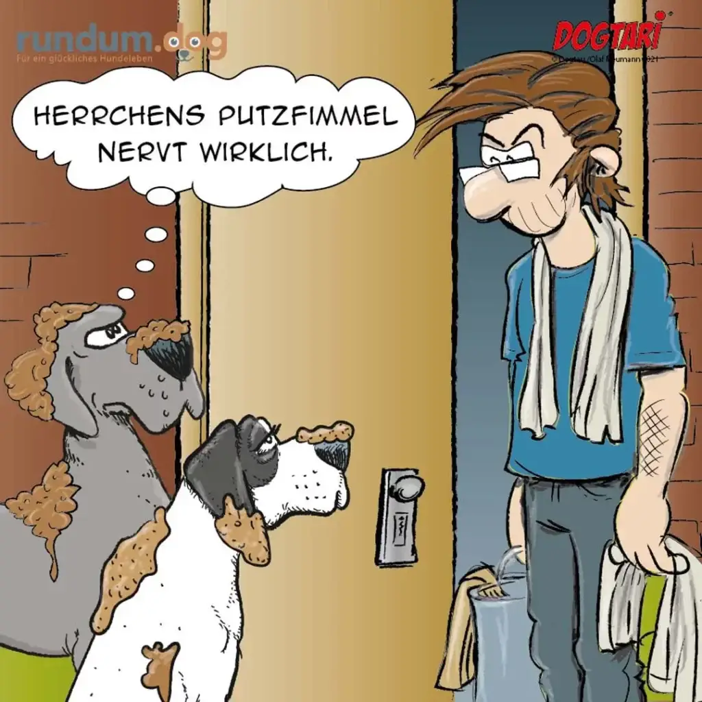 Zwei schmutzige Hunde springen an Türrahmen hoch, Mann in blauem Shirt schaut wütend aus der Tür, Putzlappen in der Hand