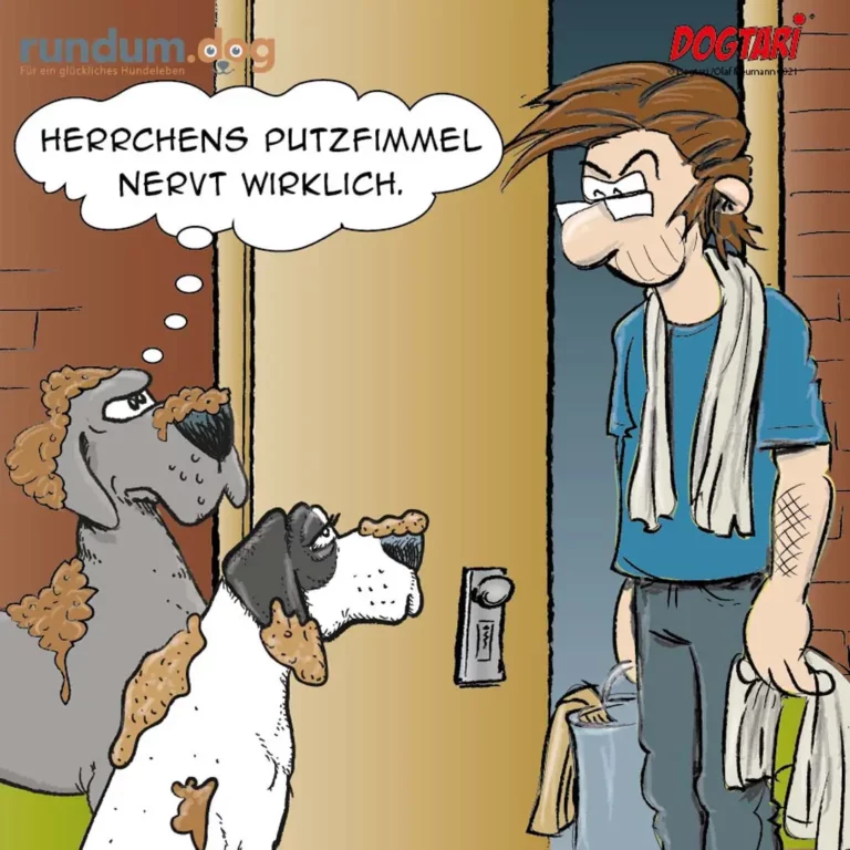 Zwei schmutzige Hunde springen an Türrahmen hoch, Mann in blauem Shirt schaut wütend aus der Tür, Putzlappen in der Hand