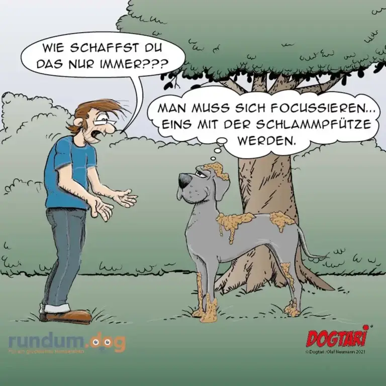Hund voller Schlamm sitzt unter Baum, Halter fragt verwirrt, Hund antwortet gelassen