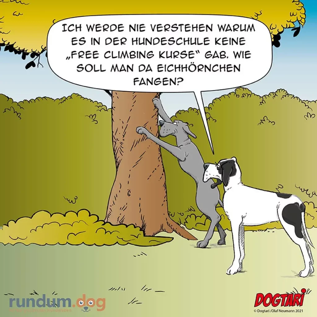Grauer Hund klettert an Baumstamm hoch, weisser Hund schaut zu. Sprechblase des kletternden Hundes.