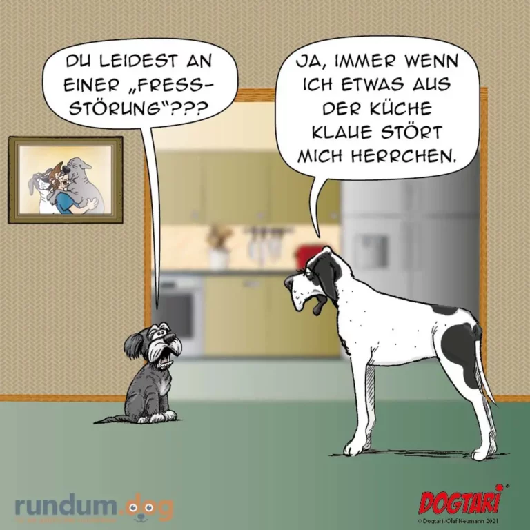 Kleiner dunkler Hund schaut zu grossem weissem Hund auf, der Küchenklaue im Maul hält. Kleiner Hund: «Du leidest an einer ‹Fresstörung›???» Grosser Hund: «Ja, immer wenn ich etwas aus der Küche klaue stört mich herrchen.»