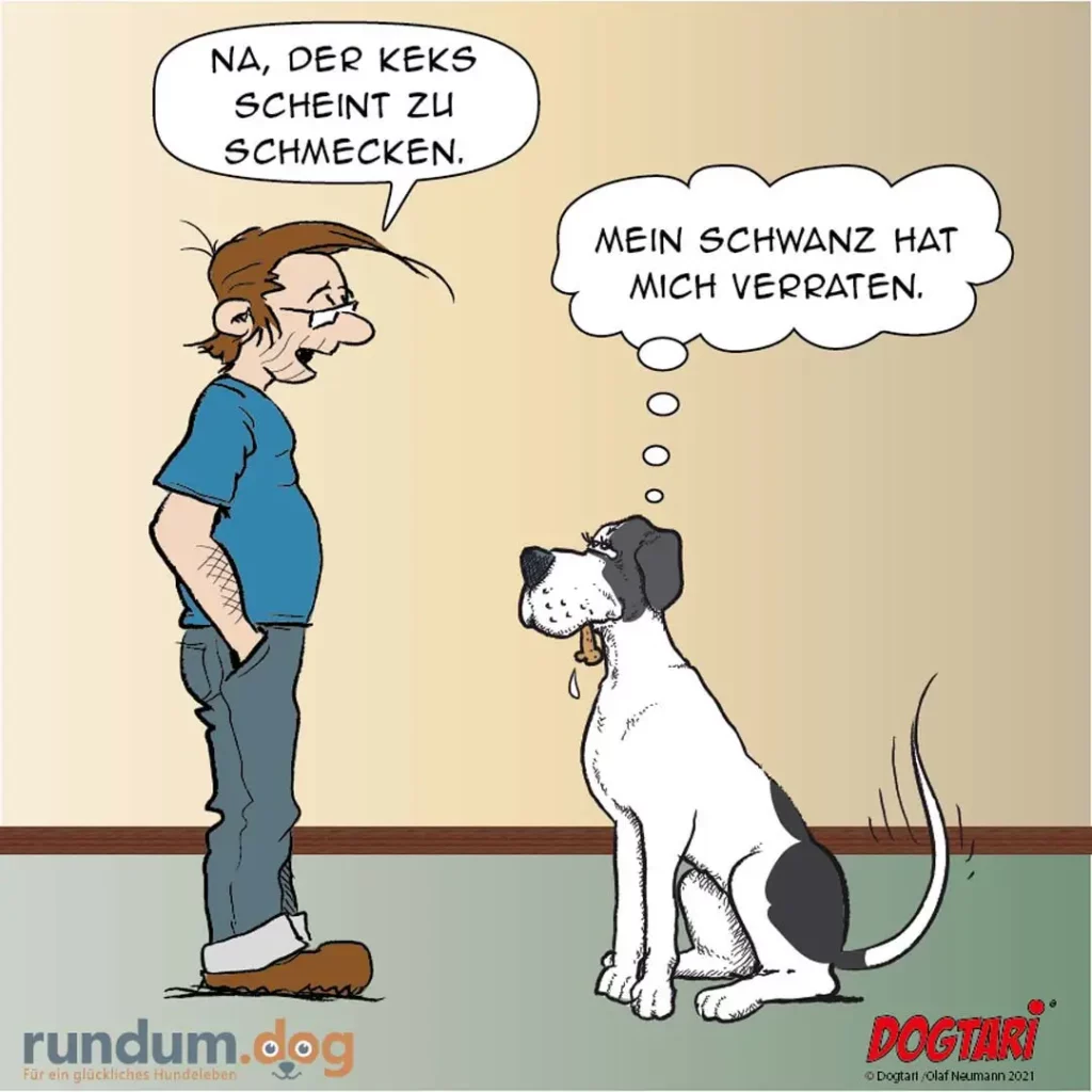 Frau sagt zu Hund: «Na, der Keks scheint zu schmecken.» Hund antwortet: «Mein Schwanz hat mich verraten.»