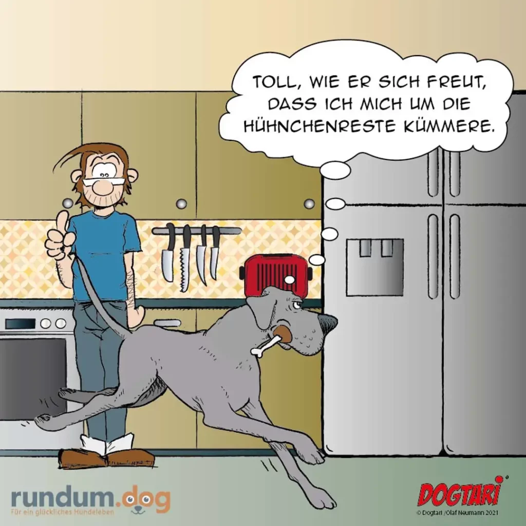 Mann in Küche mit Kochmesser, Hund trägt rote Mütze auf dem Kopf und hält Knochen im Maul