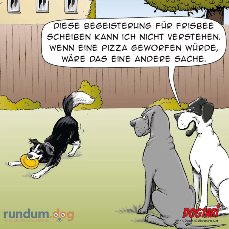Drei Hunde im Garten: einer mit gelbem Frisbee im Maul, zwei andere schauen zu. Ein Hund spricht über die Ungerechtigkeit.