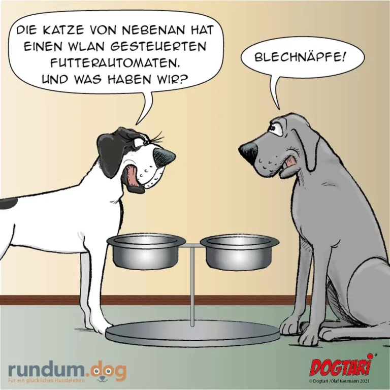 Schwarz-weisser Hund erzählt grauem Hund von Katzenfutterautomat, grauer Hund antwortet entrüstet «Blechnäpfe!»